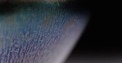 Z4UKAL}{AR[WAUFFXX_)SH0.png